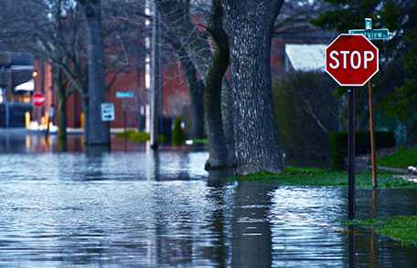 Cars submerged in flood waters