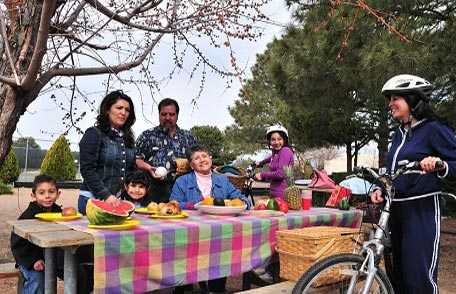 Family enjoying picnic