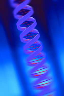 Image of DNA