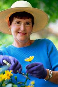 Photo: Woman working in garden