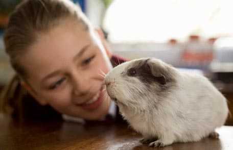 Young girl with rabbit