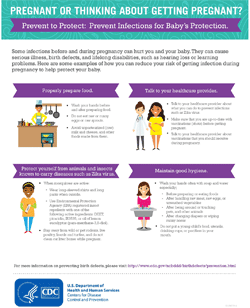 Infographic: Pregnant or thinking about getting pregnant? Prevent to protect.