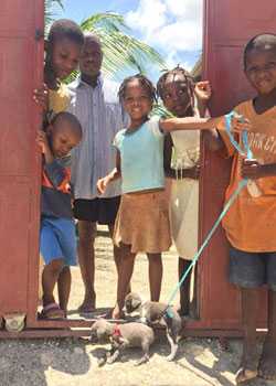 Haitian children with puppies