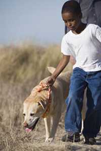 Photo: A boy and his dog going for a walk.