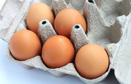 Salmonella and Eggs