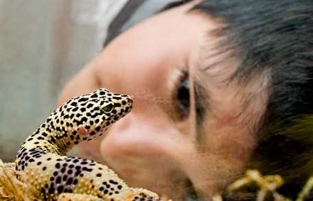 Young boy holding turtle