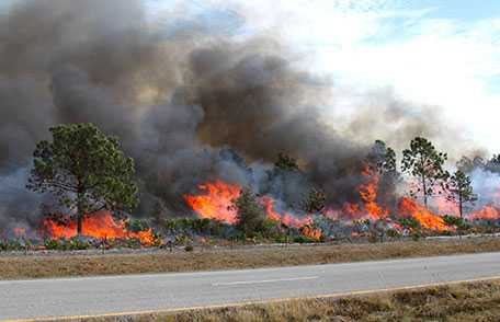 incendio forestal