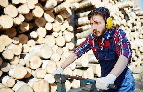 Worker Hearing Loss 