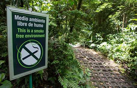 Sign in park that says this is a smoke free environment