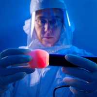 Photo of a lab worker examining an egg as part of flu vaccine safety and other research.