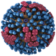 Vista en 3D -- Completa. Representación gráfica de la biología y la estructura de un virus genérico de la influenza, y que no pertenece al virus de la influenza H1N1 2009.