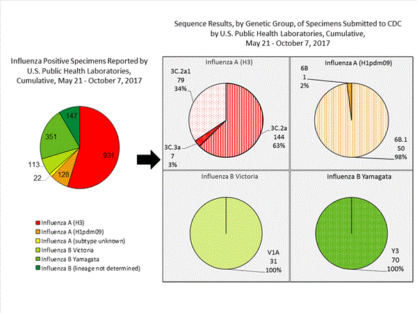 Genetic Characterization