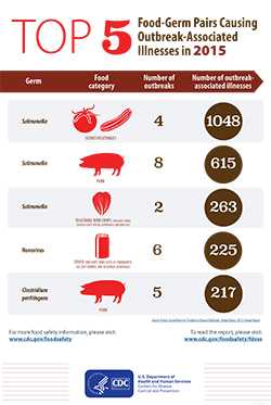 Top 5 Food-Germ Pairs Causing Outbreak-Associated Illnesses in 2015