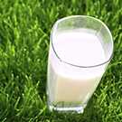 Glass of milk