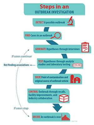 Steps in an outbreak investigation.