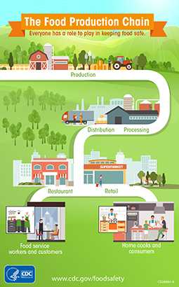 food production chain