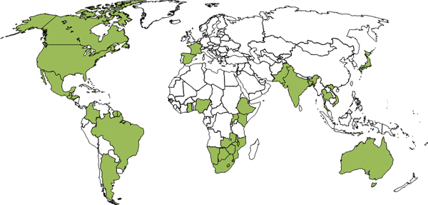 World map