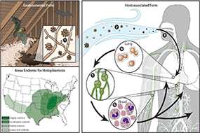 Sources of Infection