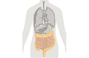 Sources of infection