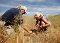 Thomas Mace, senior scientific adviser to NASA, helps Cal State Bakersfield microbiologist Antje Lauer collect soil samples in Central California. They plan to test the soil for the fungus that causes valley fever. Credit: Shelby Mack/The Bakersfield Californian