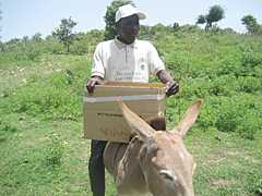 Meet Hassan: HIV Counselor Reaches the Hard-to-Reach Communities in Nigeria