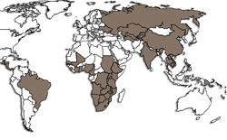 Map of the countries where we work.