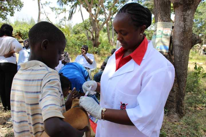 	Kenya makes great strides towards Rabies Elimination