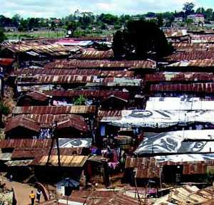 A Promising New Career in the Slums of Kibera