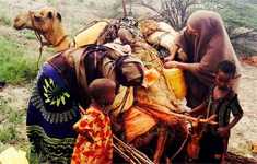 	Somali pastoralists on their way to Dadaab refugee camp in search of food and care. (Credit: CDC-Kenya, Ahmed Unhur, KEMRI)