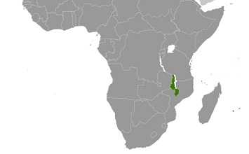 Map of Malawi