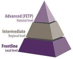 	FETP pyramid illustration: Frontline (local level); Intermediate (regional level); Advanced (national level)