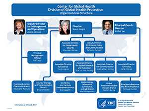 DGHP Organization Chart