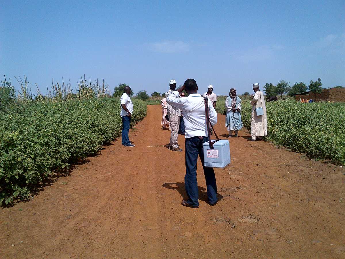 Vaccination teams and community members travel through miles of crops and fields to reach children in Sokoto, Nigeria.  Nigerian natives who are part of the vaccination team often talk to the Ardo, a traditional leader who can help the vaccination teams find (and at times get access to) other isolated communities.  