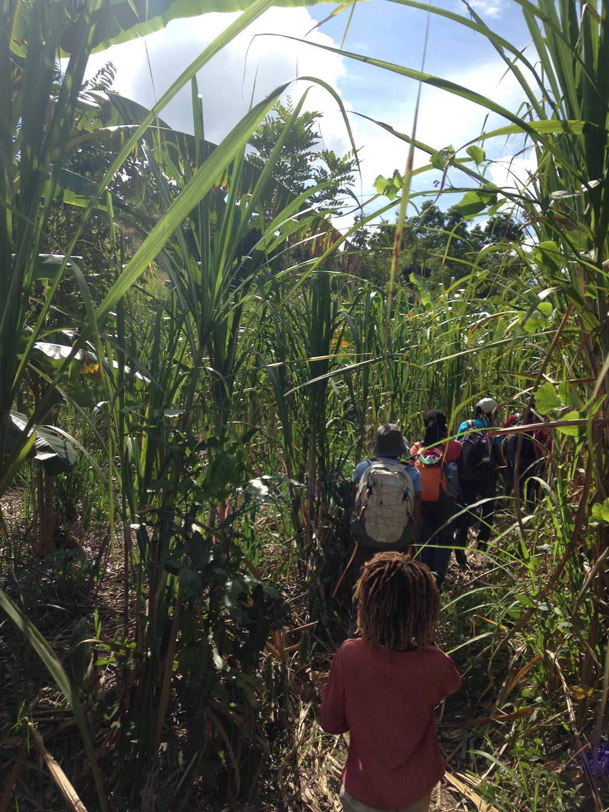 Sometimes, there are regions that do not have nearby fields that allow airplanes or have roads that allow vehicle (or even bicycle) traffic. In such cases, vaccination teams, like the ones in Haiti, and community volunteers – even children– work together to get life-saving vaccines to those who need it