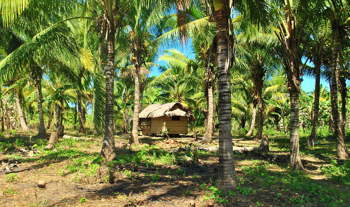 Houses in Mindoro Occidental are quite far apart and there aren’t many paved roads