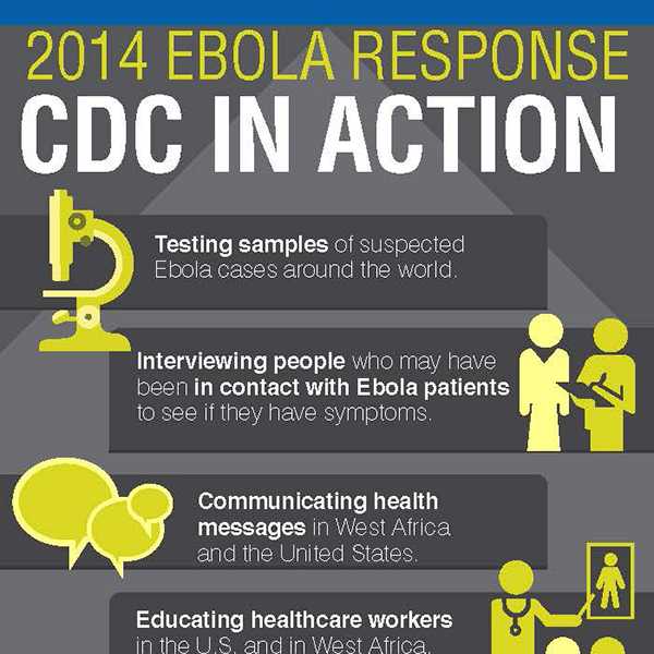 Testing samples of suspected Ebola cases around the world. Interviewing people who may have been in contact with Ebola patients to see if they have symptoms.