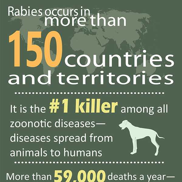  Infographic: World Humanitarian Day