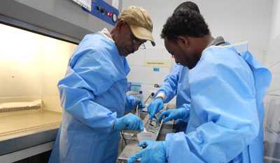 Students fix a light in the biosafety cabinet