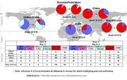 This picture depicts a map of the world that shows the co-circulation of 2009 H1N1 flu and seasonal influenza viruses. The United States, Russian Federation, China, Republic of Korea, and Ghana are depicted. There is a pie chart for each that shows the proportion of laboratory-confirmed influenza cases that have tested positive for either 2009 H1N1 flu or other influenza subtypes. The majority of laboratory-confirmed influenza cases reported in Ghana in weeks 16 and 17 were 2009 H1N1 flu.
