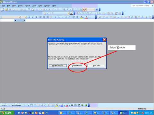 Picture displaying how the user will enable to macros that are needed to run the FluAid Special Edition software tool.