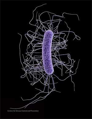 C. difficile