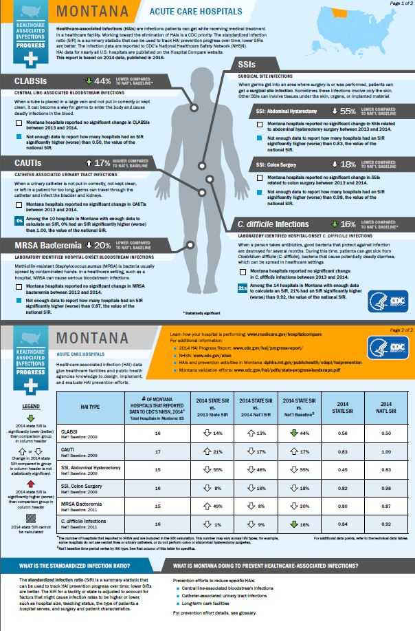 Montana infographic showing hai progress