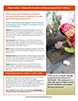 Improving Child Development factsheet