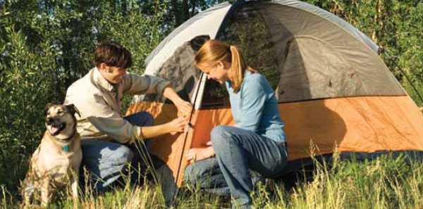 couple with dog camping