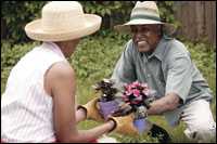 Photo: A man and woman gardening