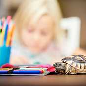 Children with a turtle on a table