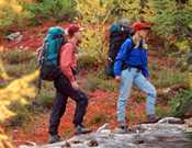 Two hikers in a forest