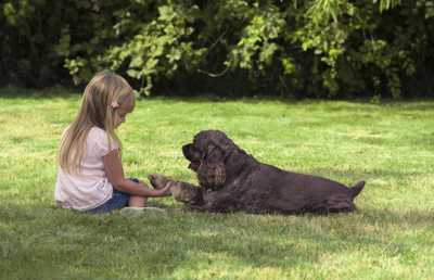 Girl sitting with dog in the grass