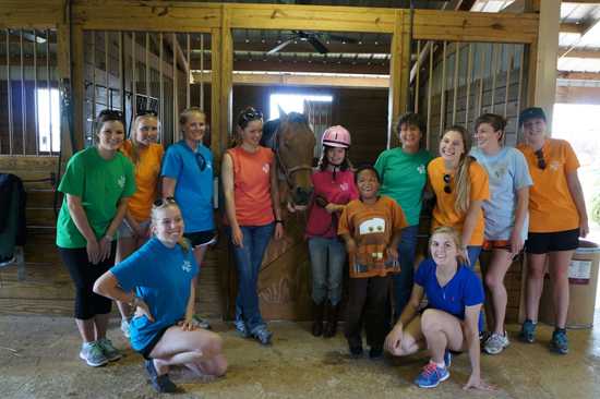 Large group of people standing next to a horse