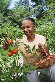 woman working in a garden